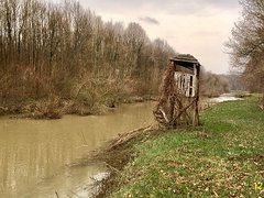 12.03.2017