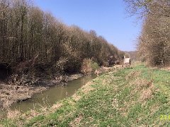 23.03.2019